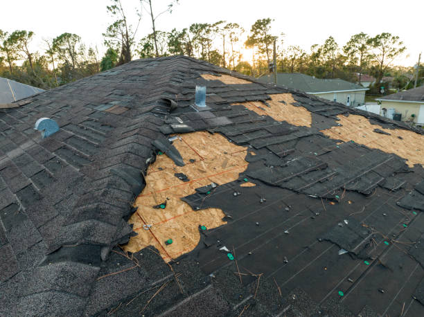 Best 4 Ply Roofing  in Mertzon, TX